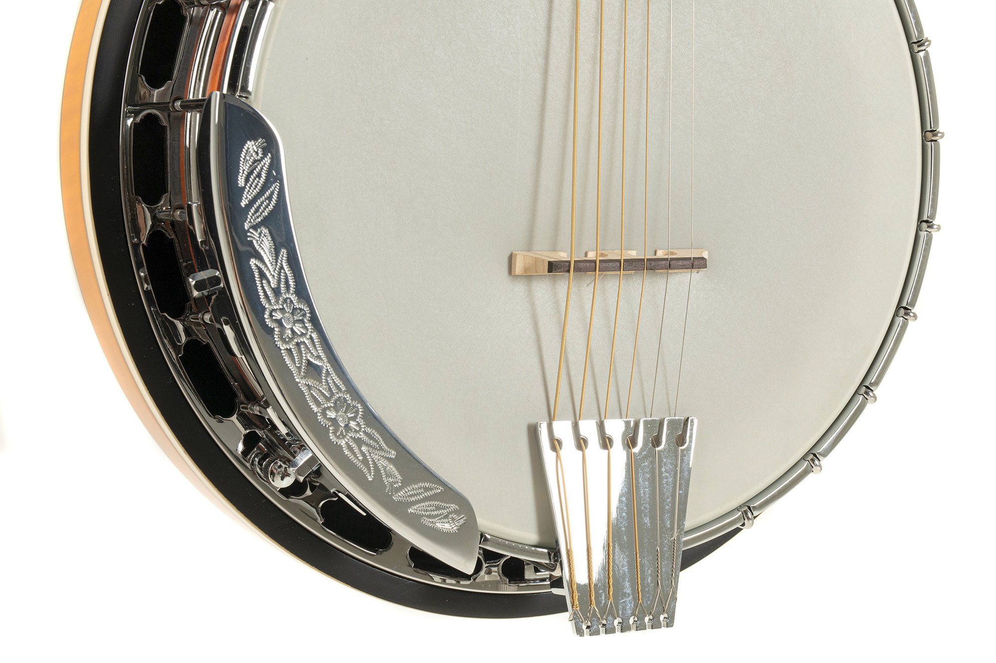 VGS Banjo Premium 6-string